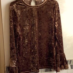 Crushed velvet bronze top